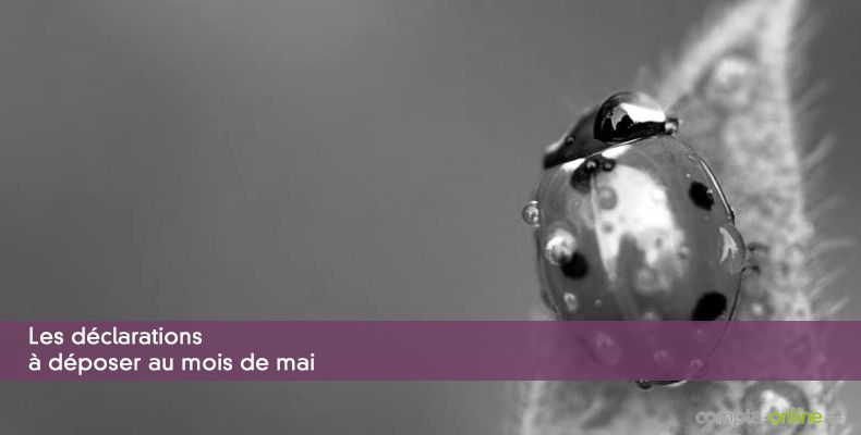 Les déclarations à déposer au mois de mai