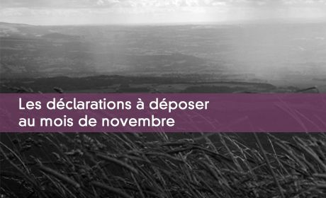 Les déclarations à déposer au mois de novembre