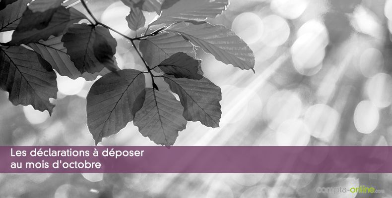 Les déclarations à déposer au mois d'octobre