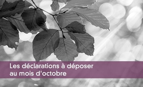 Les déclarations à déposer au mois d'octobre
