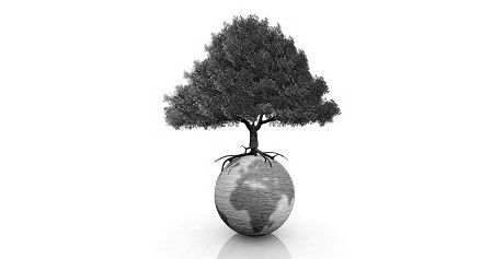 L'intérêt d'une démarche développement durable pour les TPE