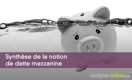 Synthèse de la notion de dette mezzanine