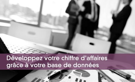 Développez votre chiffre d'affaires grâce à votre base de données