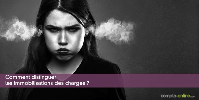 Charges ou immobilisations en comptabilité  comment choisir