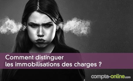 Comment distinguer les immobilisations des charges ?