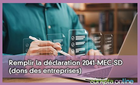 Remplir la dclaration 2041-MEC-SD (dons des entreprises)