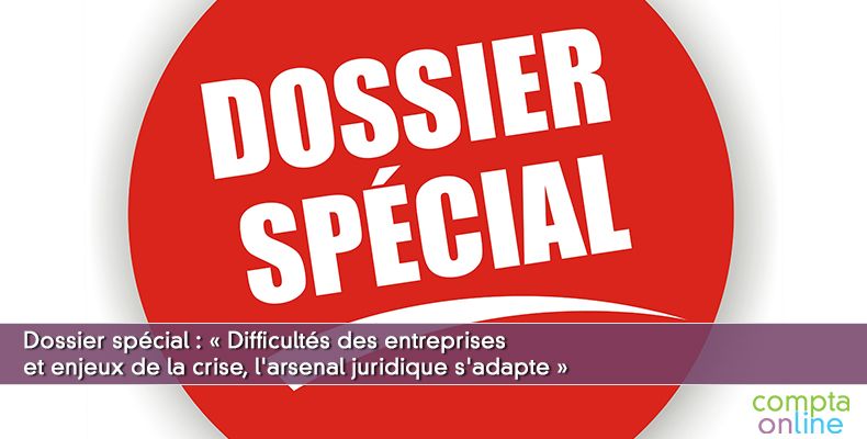 Dossier spécial : « Difficultés des entreprises et enjeux de la crise, l'arsenal juridique s'adapte »