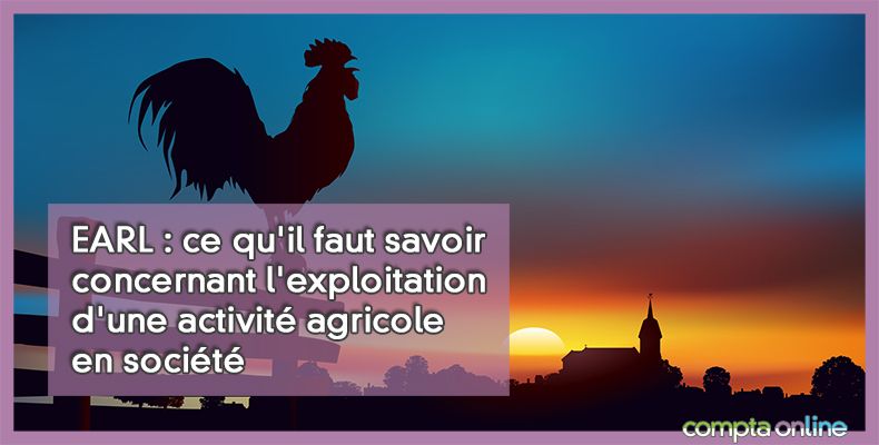 L'exploitation agricole à responsabilité limitée (EARL)