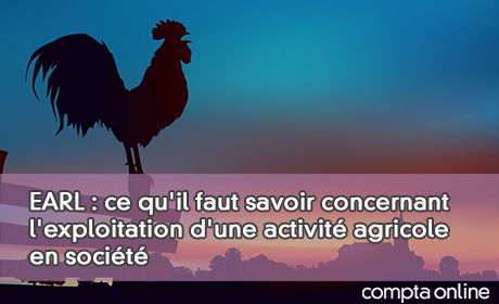 EARL : ce qu'il faut savoir concernant l'exploitation d'une activit agricole en socit