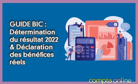 GUIDE BIC : Dtermination du rsultat 2022 & Dclaration des bnfices rels