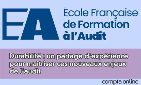 Durabilit : un partage d'exprience pour matriser ces nouveaux enjeux de l'audit