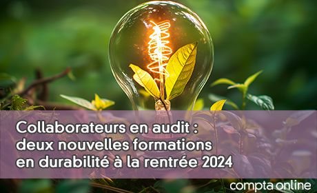 Collaborateurs en audit : deux nouvelles formations en durabilit  la rentre 2024