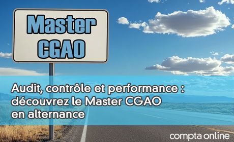 Audit, contrle et performance : dcouvrez le Master CGAO en alternance