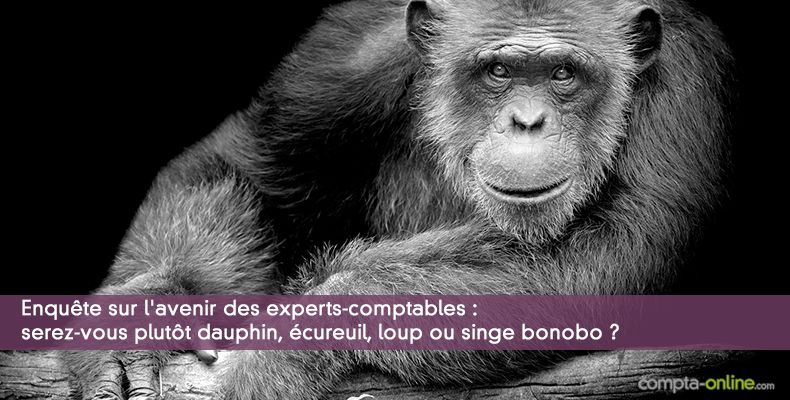 Enqute Denjean & Associs et Compta Online sur l'avenir des experts-comptables