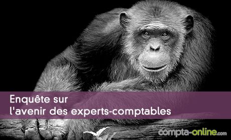 Enquête Denjean & Associés et Compta Online sur l'avenir des experts-comptables