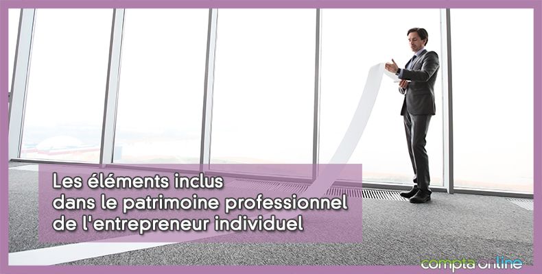 Patrimoine professionnel de l'entrepreneur individuel