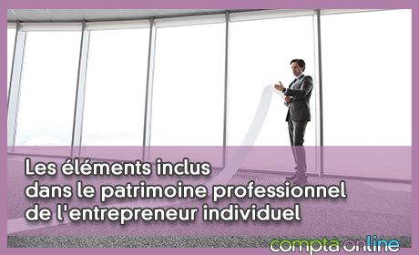 Les lments inclus dans le patrimoine professionnel de l'entrepreneur individuel