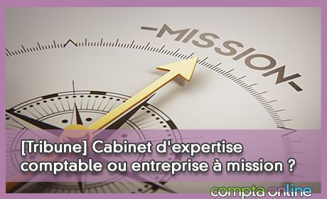 [Tribune] Cabinet d'expertise comptable ou entreprise  mission ?