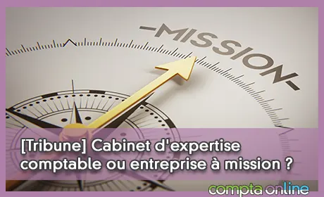 [Tribune] Cabinet d'expertise comptable ou entreprise  mission ?