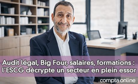 Audit l�gal, Big Four, salaires, formations : l'ESCG d�crypte un secteur en plein essor
