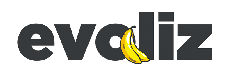 Evoliz