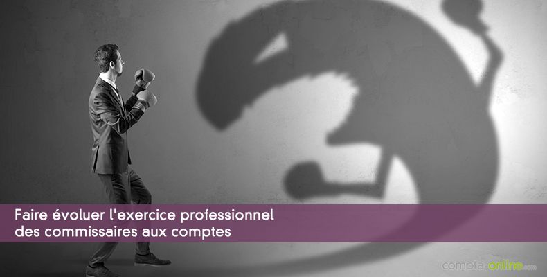 Faire évoluer l'exercice professionnel des commissaires aux comptes