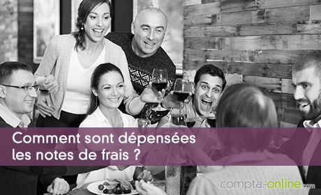 Comment sont dépensées les notes de frais ?