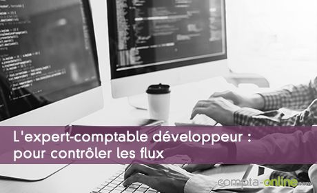 L'expert-comptable dveloppeur : pour contrler les flux