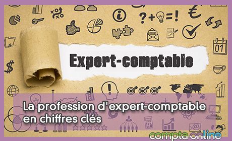 La profession d'expert-comptable en chiffres cls