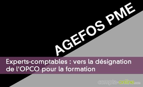 Experts-comptables : vers la désignation de l'OPCO pour la formation