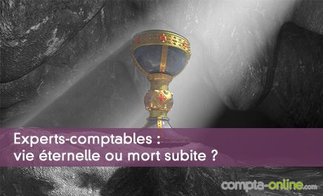 Experts-comptables : vie ternelle ou mort subite ?