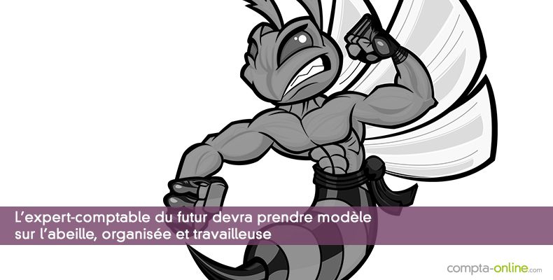 50% des professionnels de l'expertise comptable sont plutôt « abeille » : organisés et travailleurs