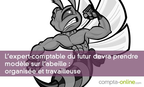 50% des professionnels de l'expertise comptable sont plutôt « abeille » : organisés et travailleurs