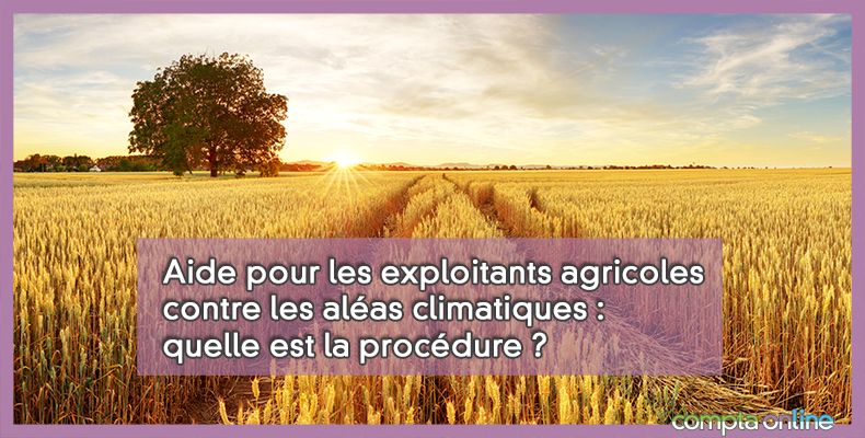 Aide exploitants agricoles