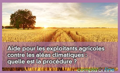 Aide pour les exploitants agricoles contre les alas climatiques : quelle est la procdure ?