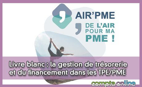 Livre blanc : la gestion de trsorerie et du financement dans les TPE/PME