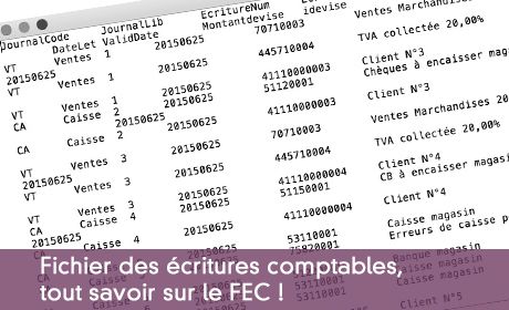 Fichier des écritures comptables, tout savoir sur le FEC !