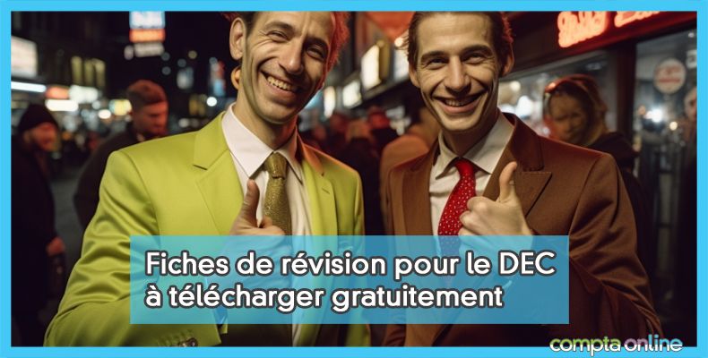 Fiches de révision DEC
