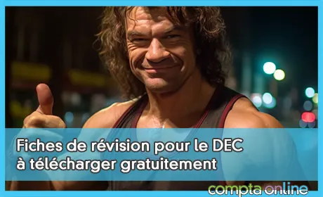 Fiches de révision DEC