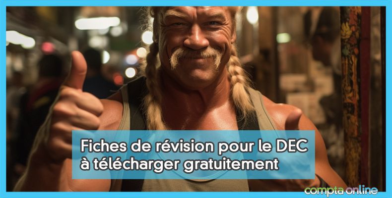 Fiches de révision DEC