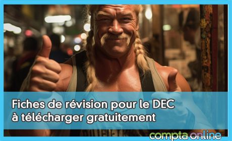 Fiches de rvision pour le DEC  tlcharger gratuitement