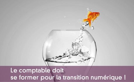 Comptable et transition numérique
