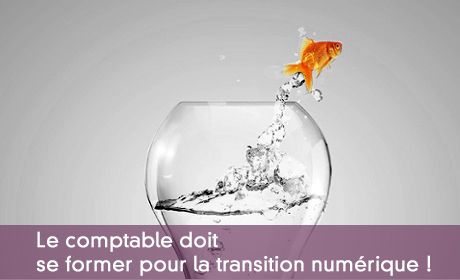 Comptable et transition numrique