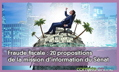 Fraude fiscale : 20 propositions de la mission d'information du Snat