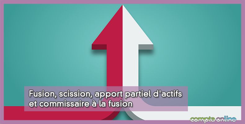 Commissaire à la fusion
