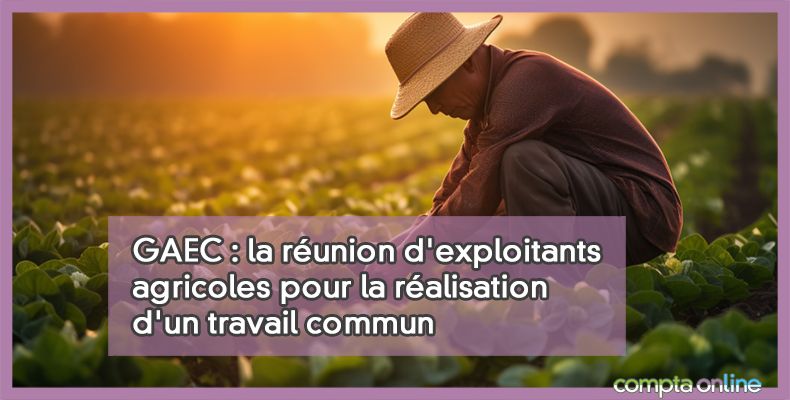 Groupement agricole d'exploitation en commun (GAEC)