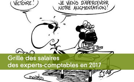 Grille des salaires des experts-comptables en 2017