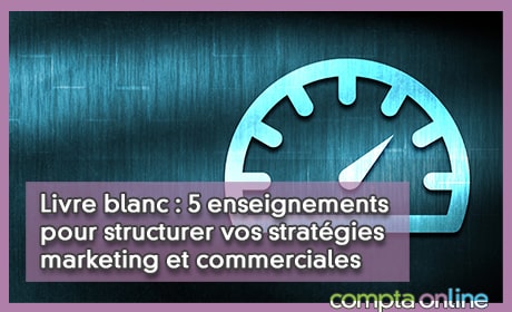 Livre blanc : 5 enseignements pour structurer vos stratgies marketing et commerciales