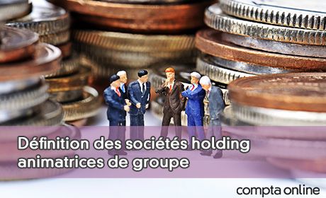 Dfinition des socits holding animatrices de groupe