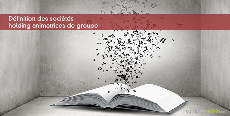 Définition des sociétés holding animatrices de groupe